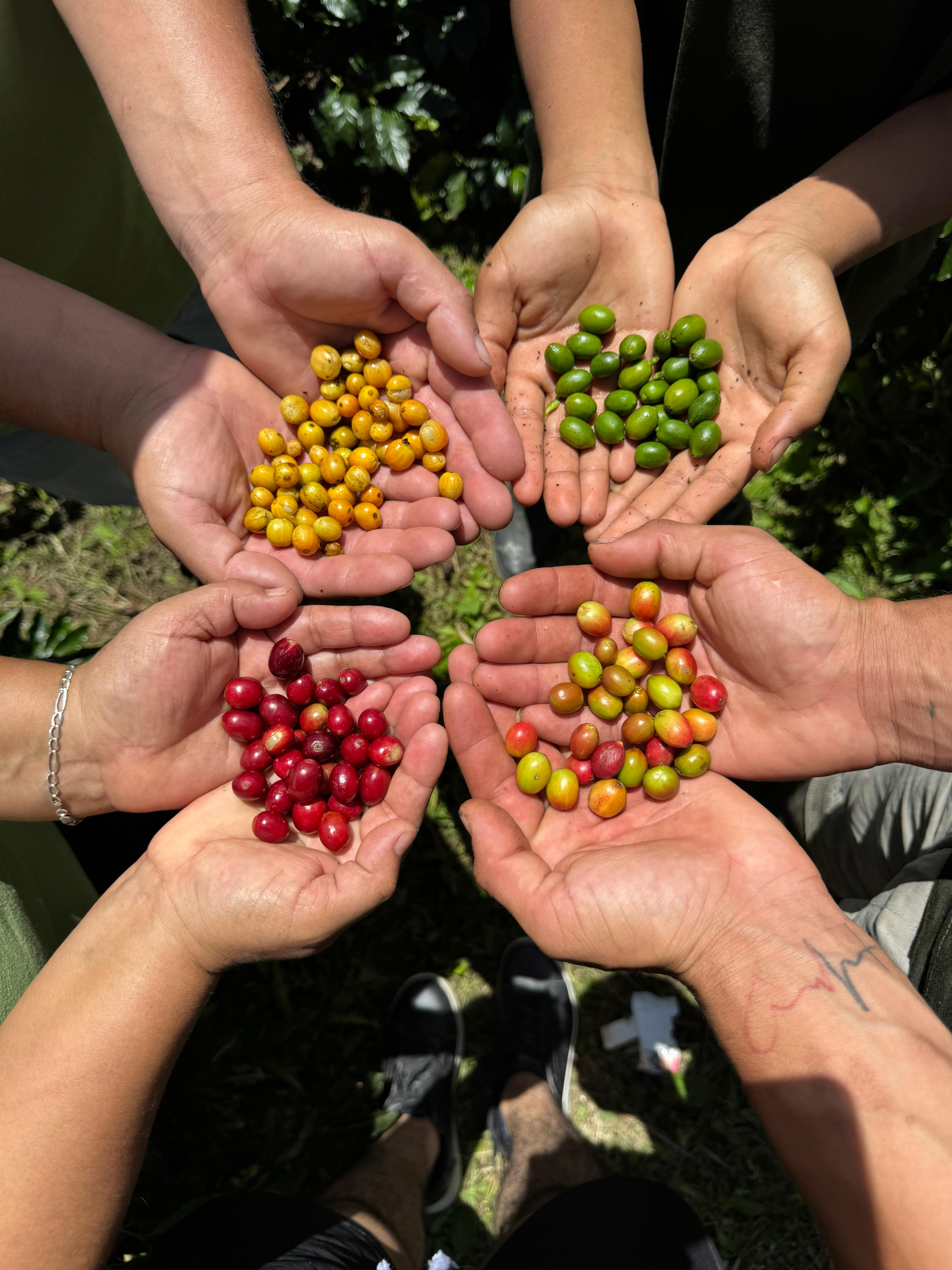 Finca Los Angeles