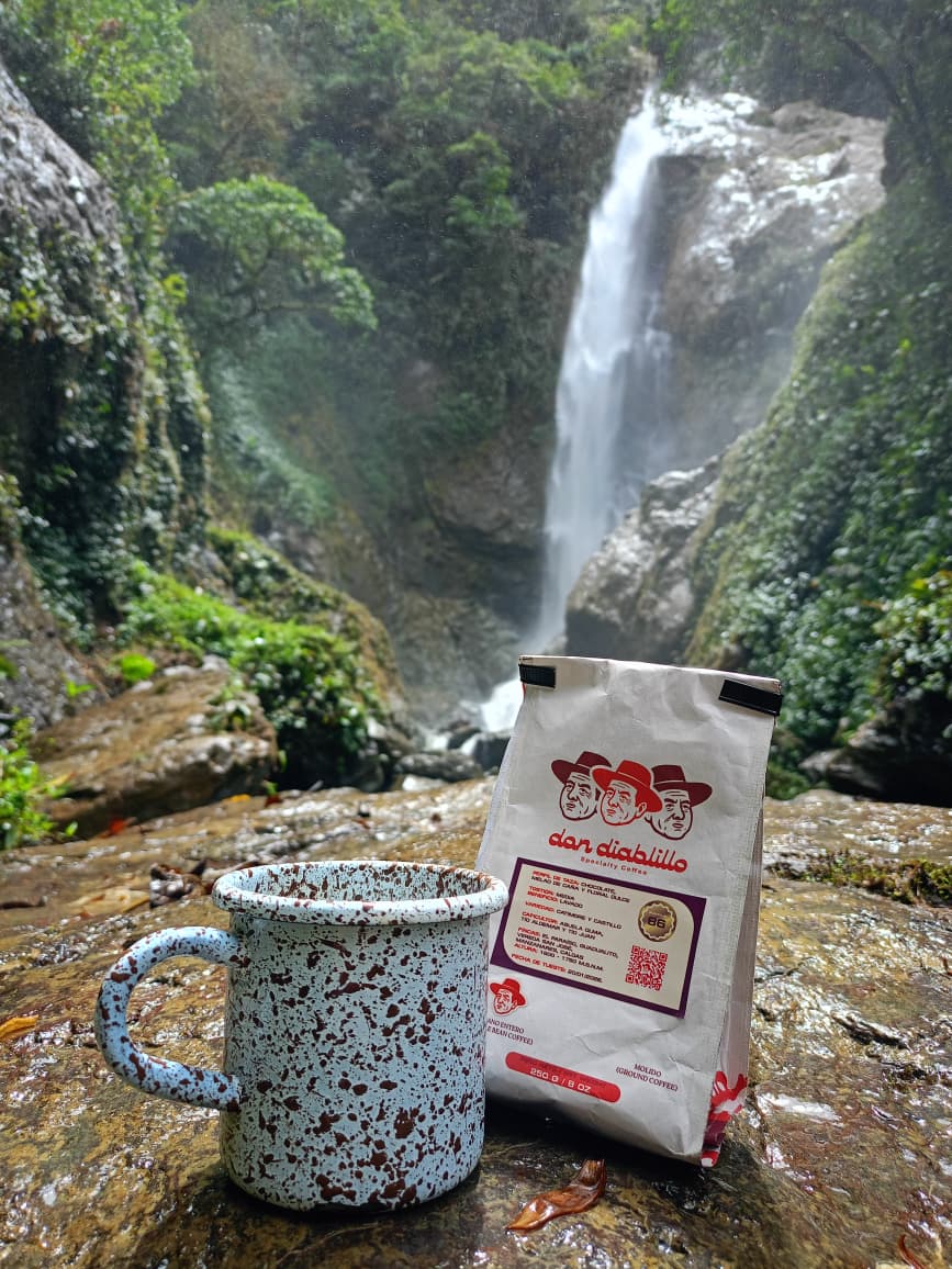 Finca El paraiso y Guadualito