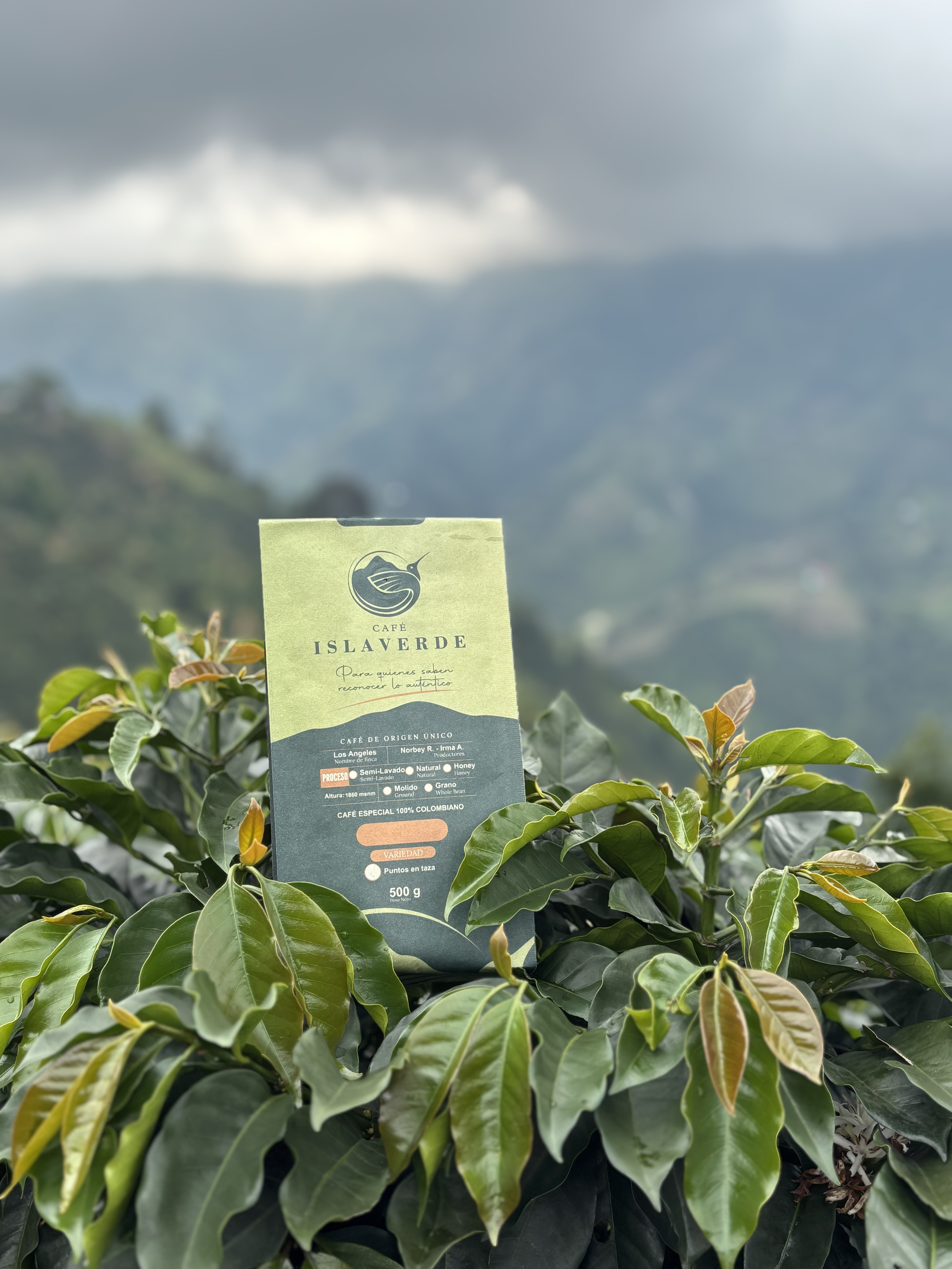Finca El Tesoro