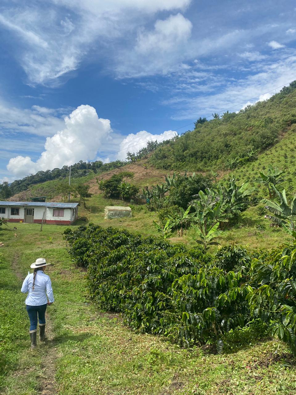 Finca El Mirador