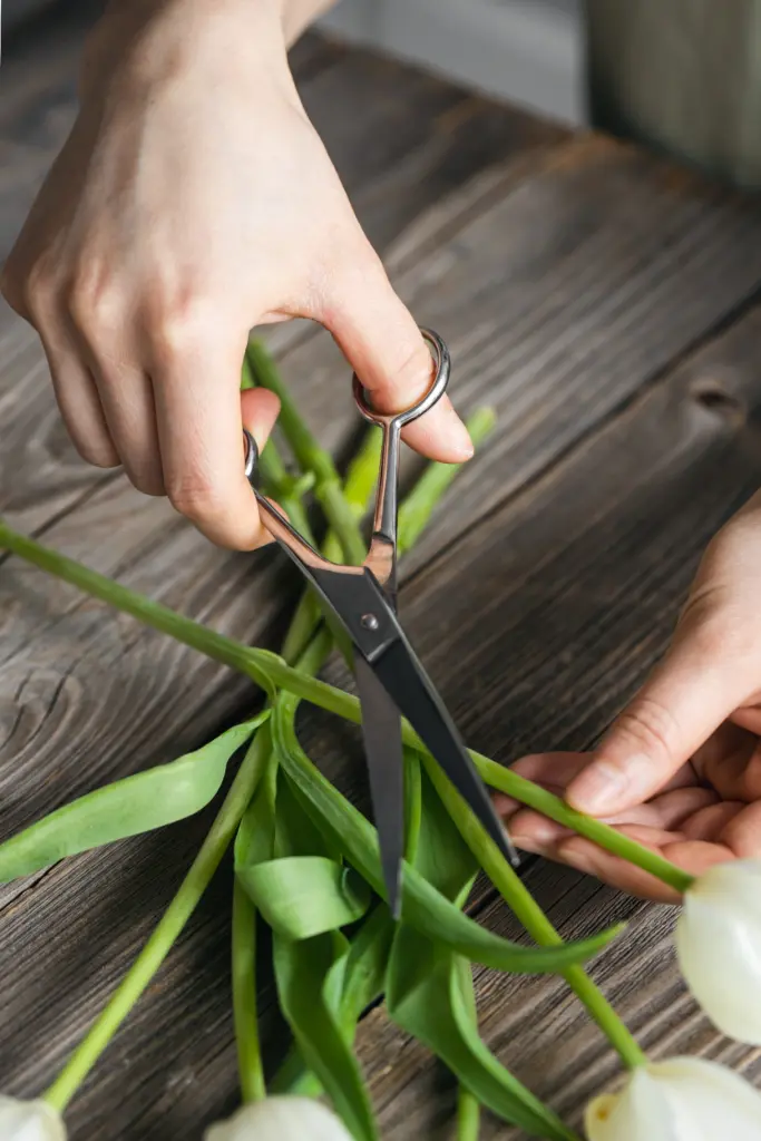 florist-girl-makes-bouquet-tulips-flowers-cuts-ends-with-shears.jpg