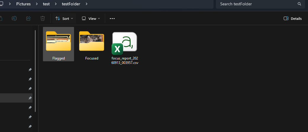 A photo folder after a Photo-Focus run, split into Focused and Flagged