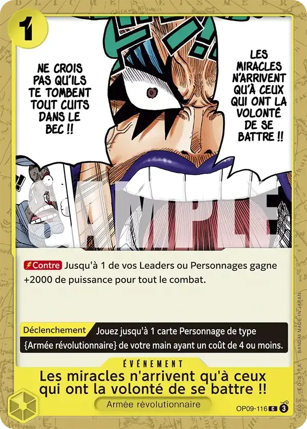 Les miracles n'arrivent qu'à ceux qui ont la volonté de se battre&nbsp;!!