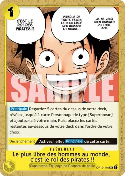 Le plus libre des hommes au monde, c'est le roi des pirates&nbsp;!!