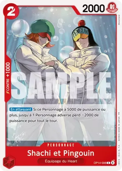 Shachi et Pingouin