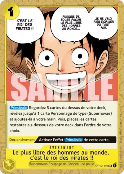 Le plus libre des hommes au monde, c'est le roi des pirates !!