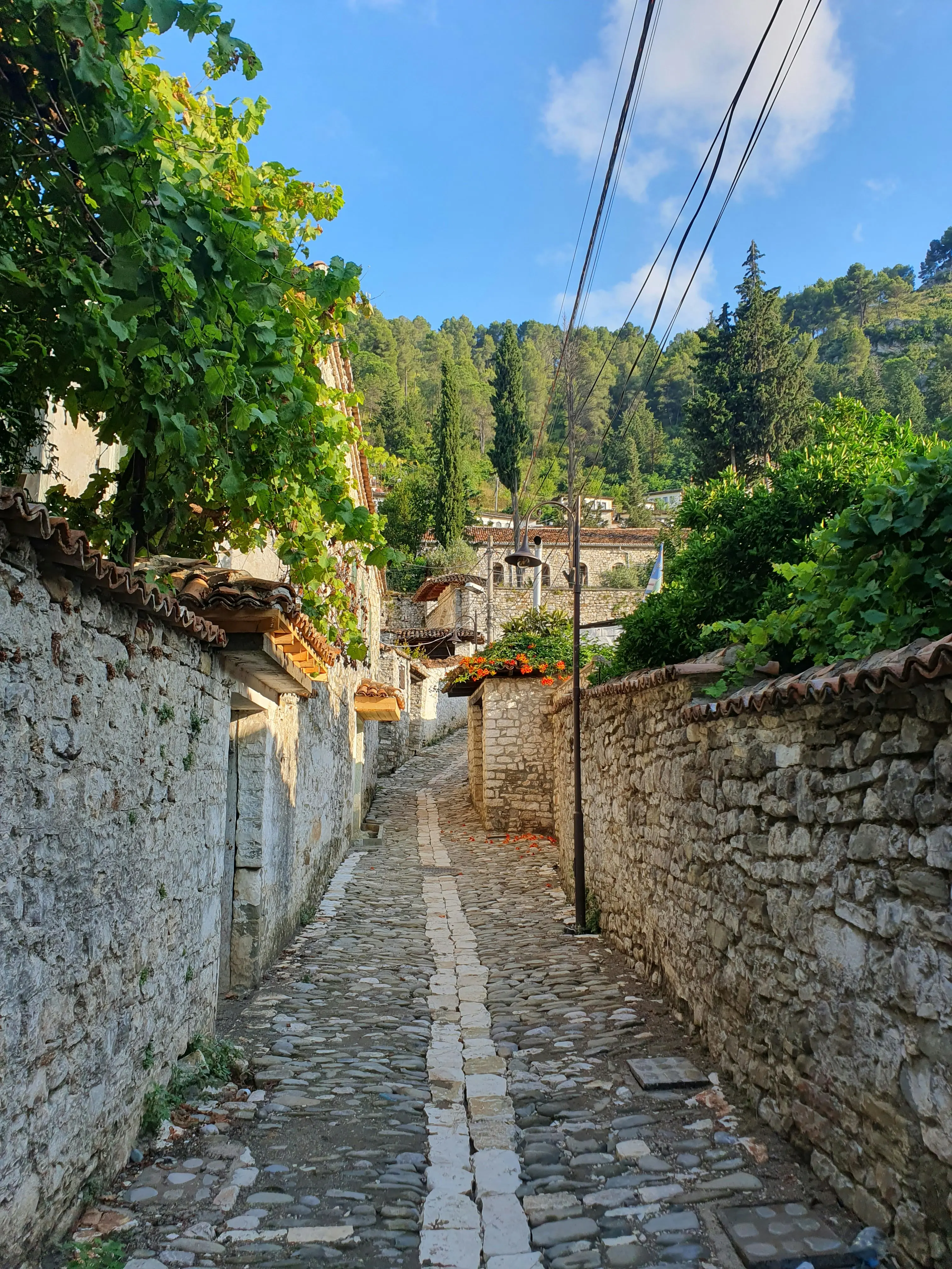 Daily Tour to Berat & Belsh