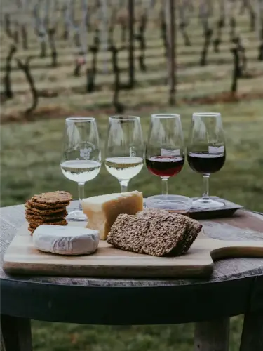 Wine Tasting Tour – Discover Flavors