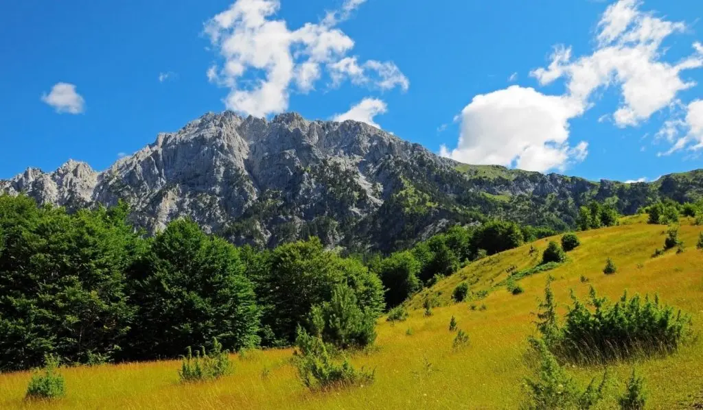Pass Valbona – Theth: Albanian Alps 3-Day Adventure - Gallery Image 3