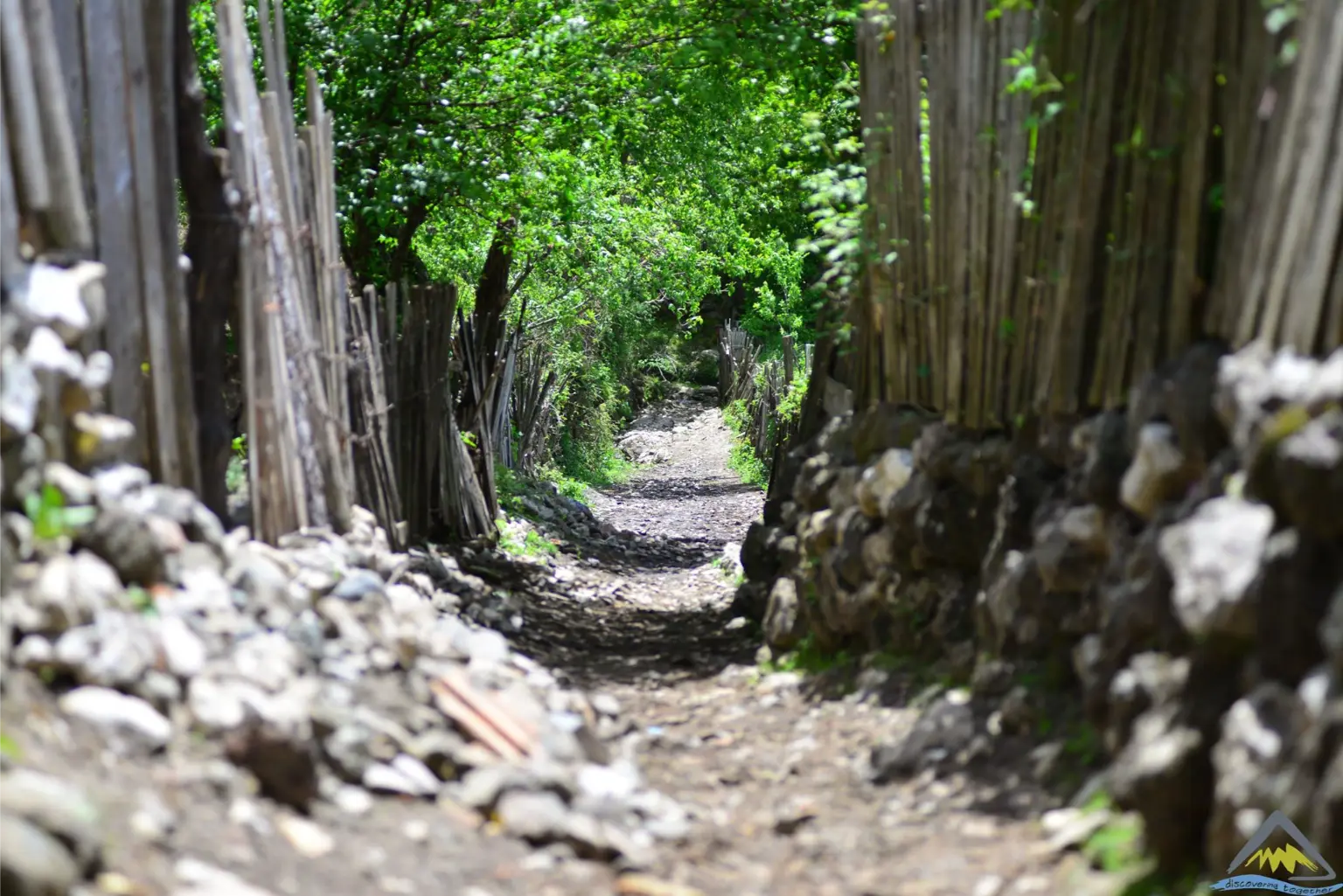 Pass Valbona – Theth: Albanian Alps 3-Day Adventure - Gallery Image 6