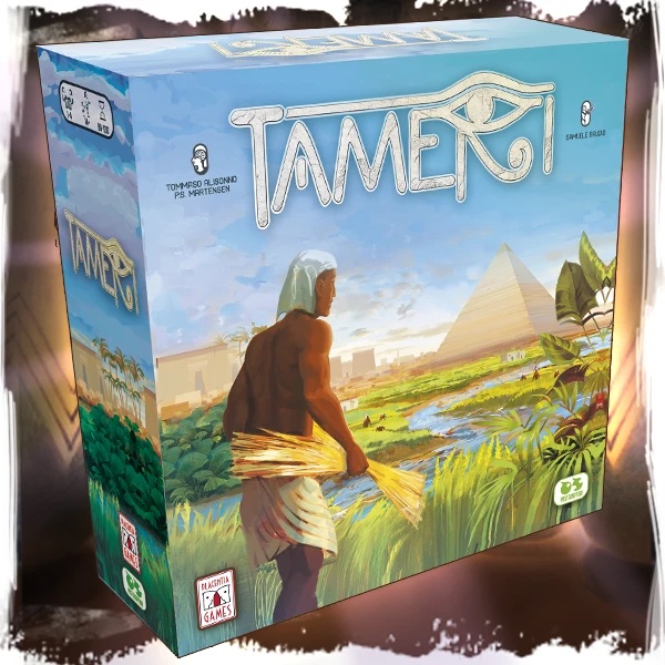Main image of Tameri board game