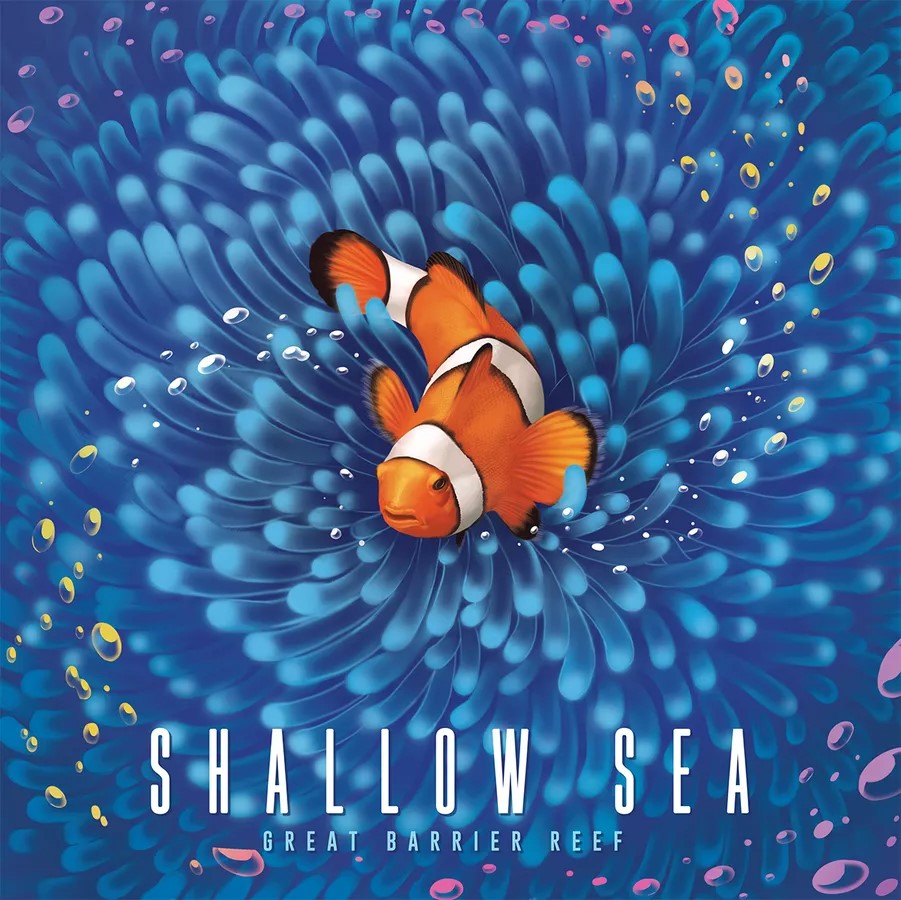 Main image of Shallow Sea  board game