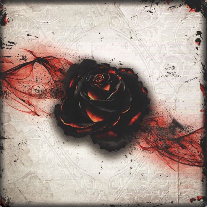Main image of Black Rose Wars board game