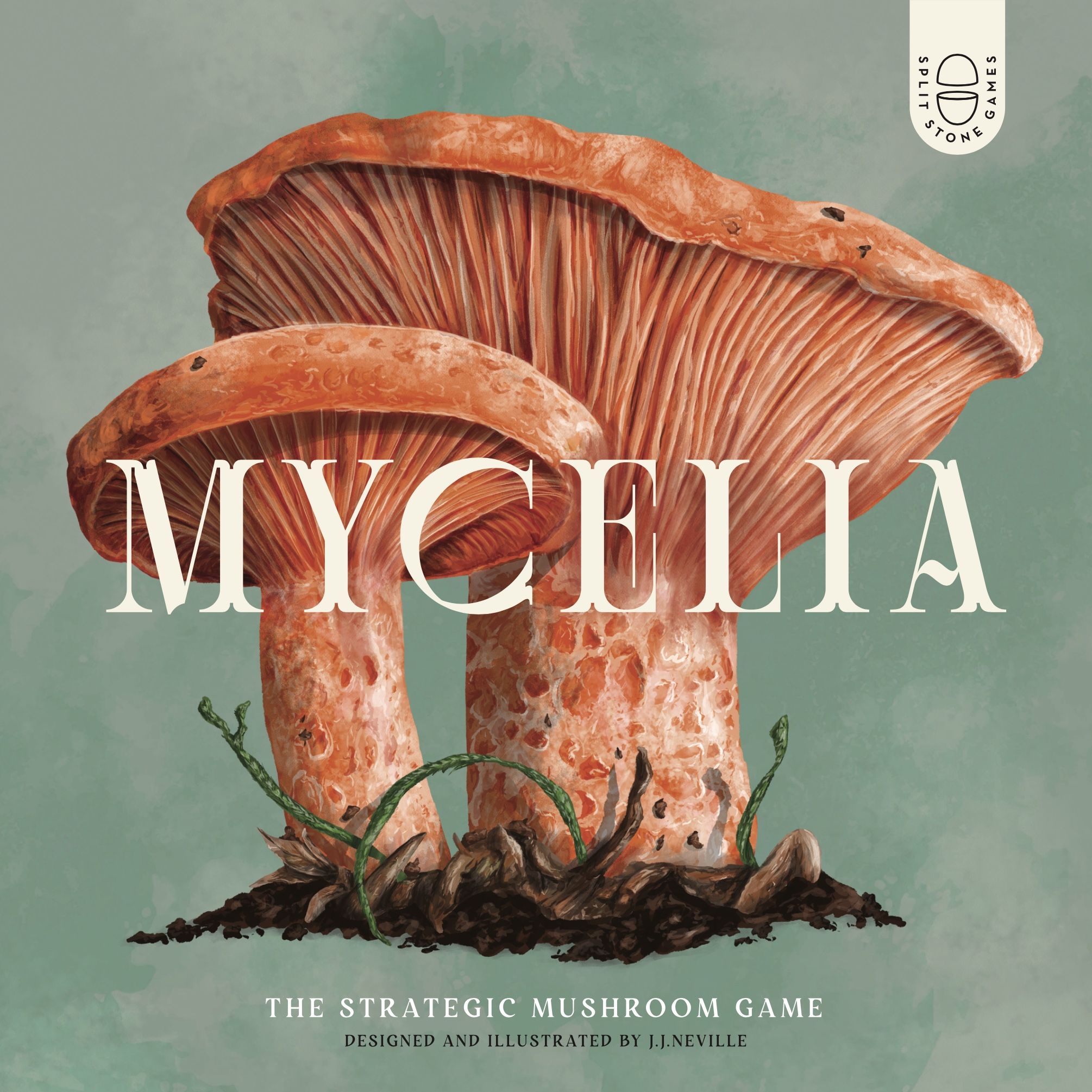 Main image of Mycelia board game