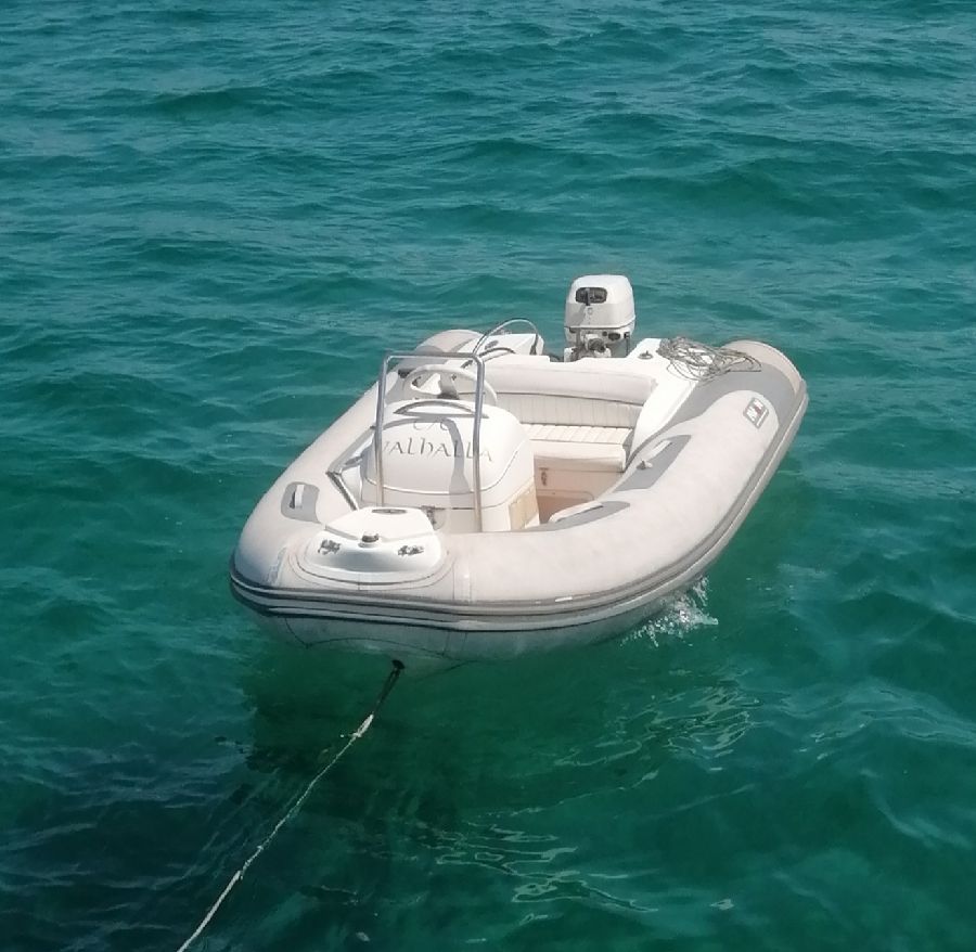 Avon 320 DL Semi-Rigid — photo 2