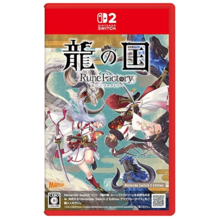 NS2 符文工廠 龍之天地 中文版