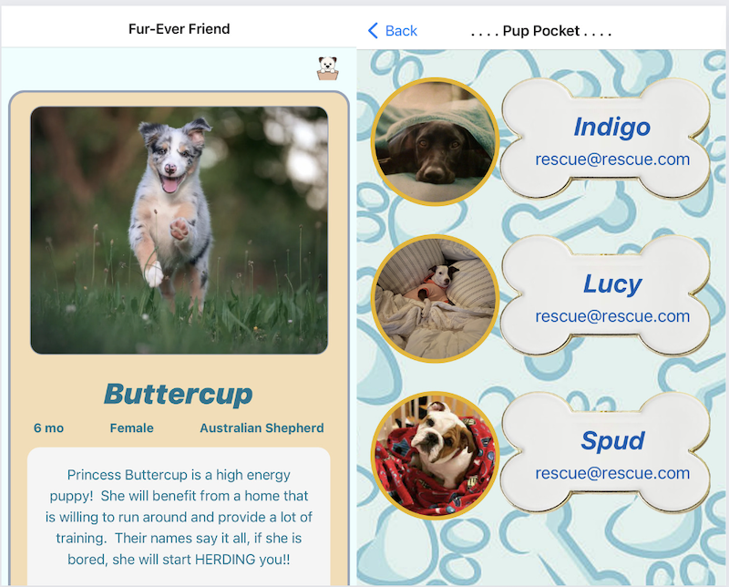 Fur-Ever Friend is a Tinder-like mobile app for matching shelter pets with their forever families.