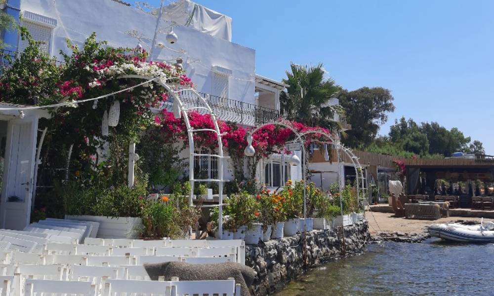 Bodrum’un Zamansız Köşesi: Adım Adım Gümüşlük Gezi Rehberi görseli