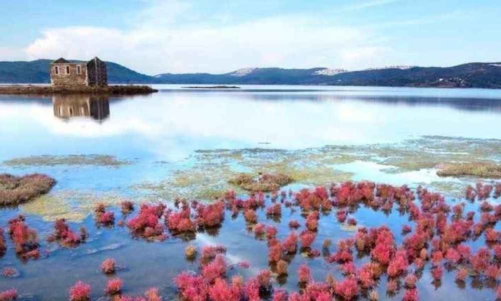 bodrum-tuszla-kus-cenneti-bogaici