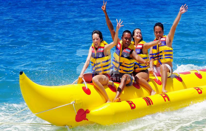 listing card gallery