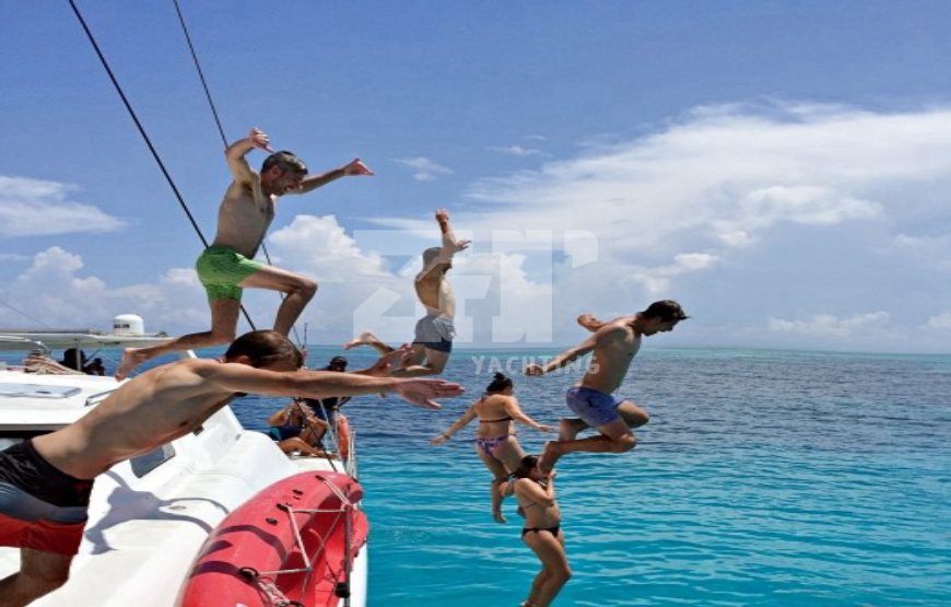 listing card gallery