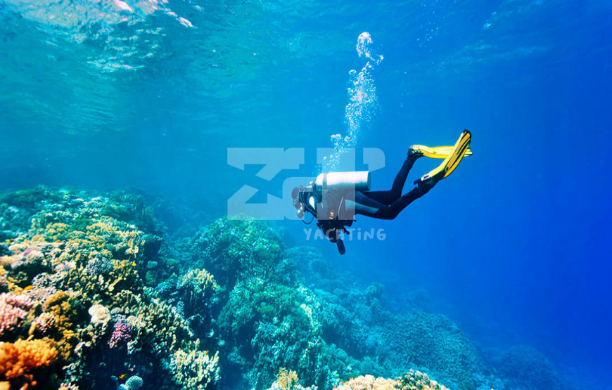 listing card gallery