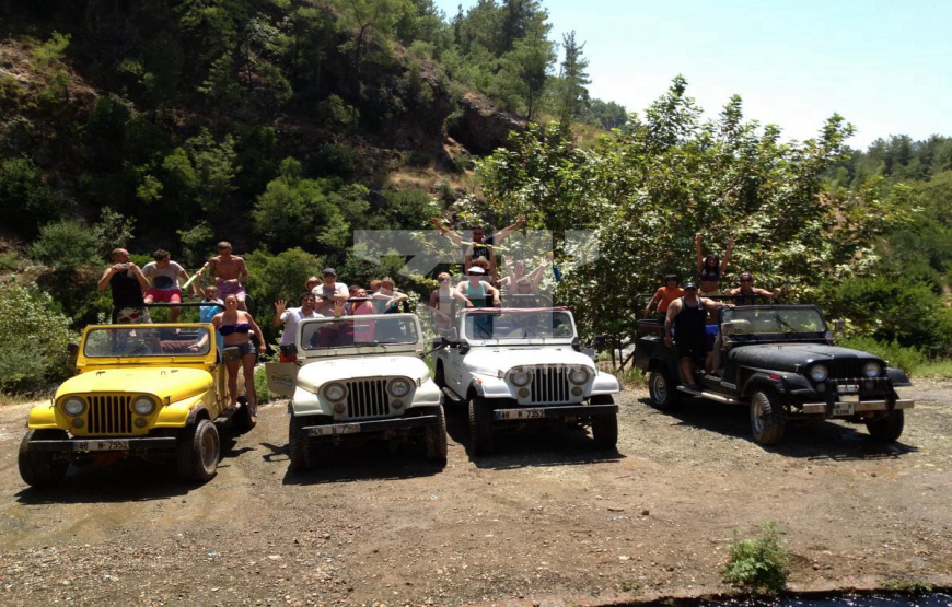 listing card gallery