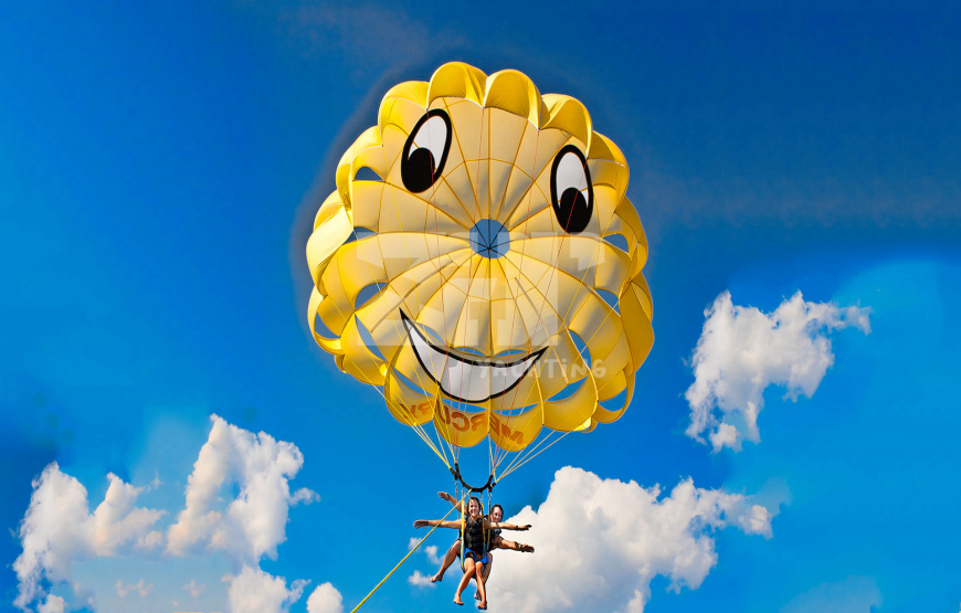 listing card gallery