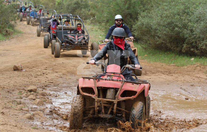 listing card gallery