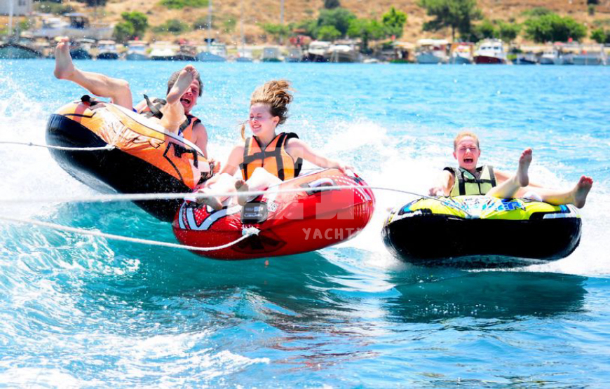 listing card gallery