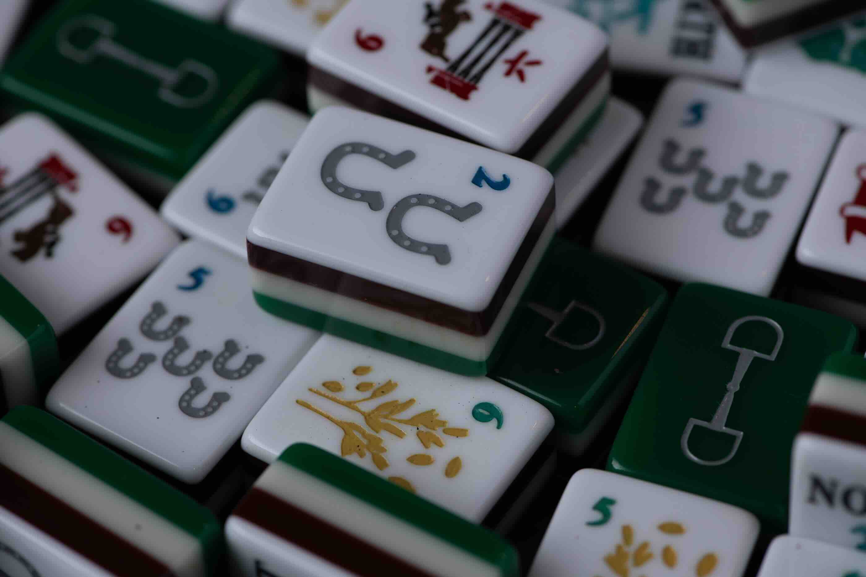 Equestrian American Mahjong Tiles, product photo 14