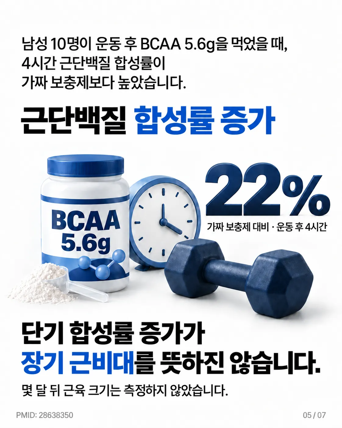 합성 반응과 근성장 짧은 합성률 증가는 장기 근비대와 다르다