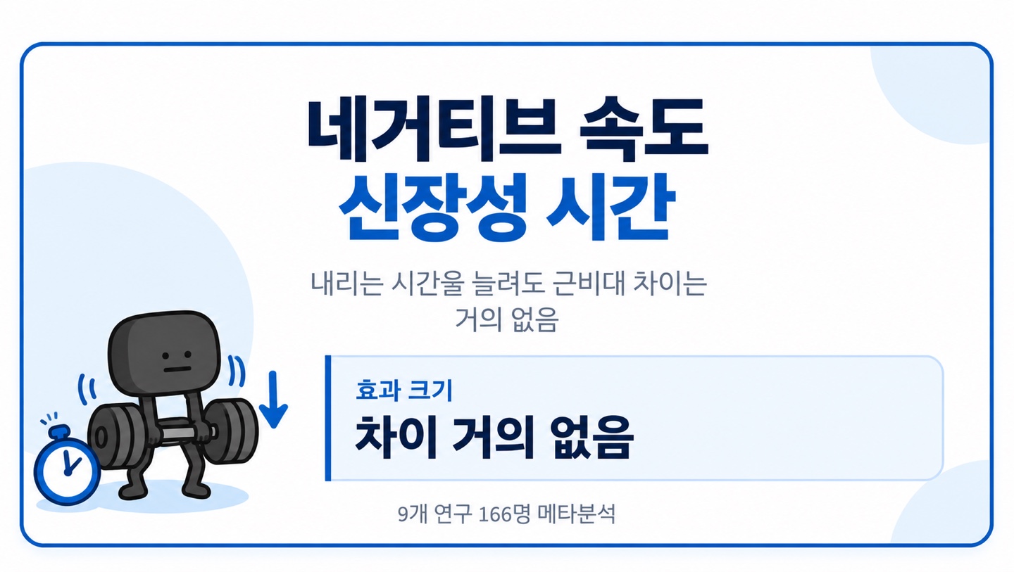 네거티브 속도 신장성 시간 내리는 시간을 늘려도 근비대 차이는 거의 없음 차이 거의 없음