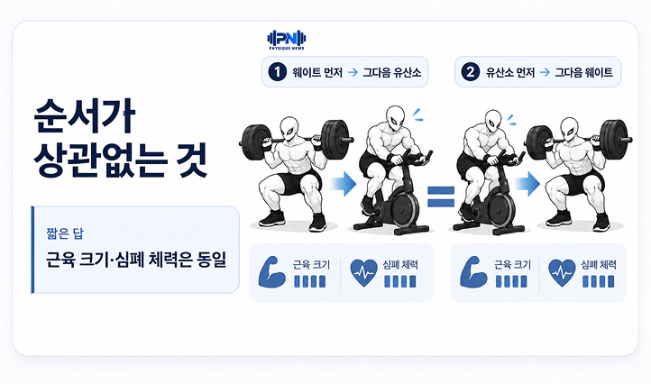 순서가 상관없는 것 근육 크기·심폐 체력은 동일