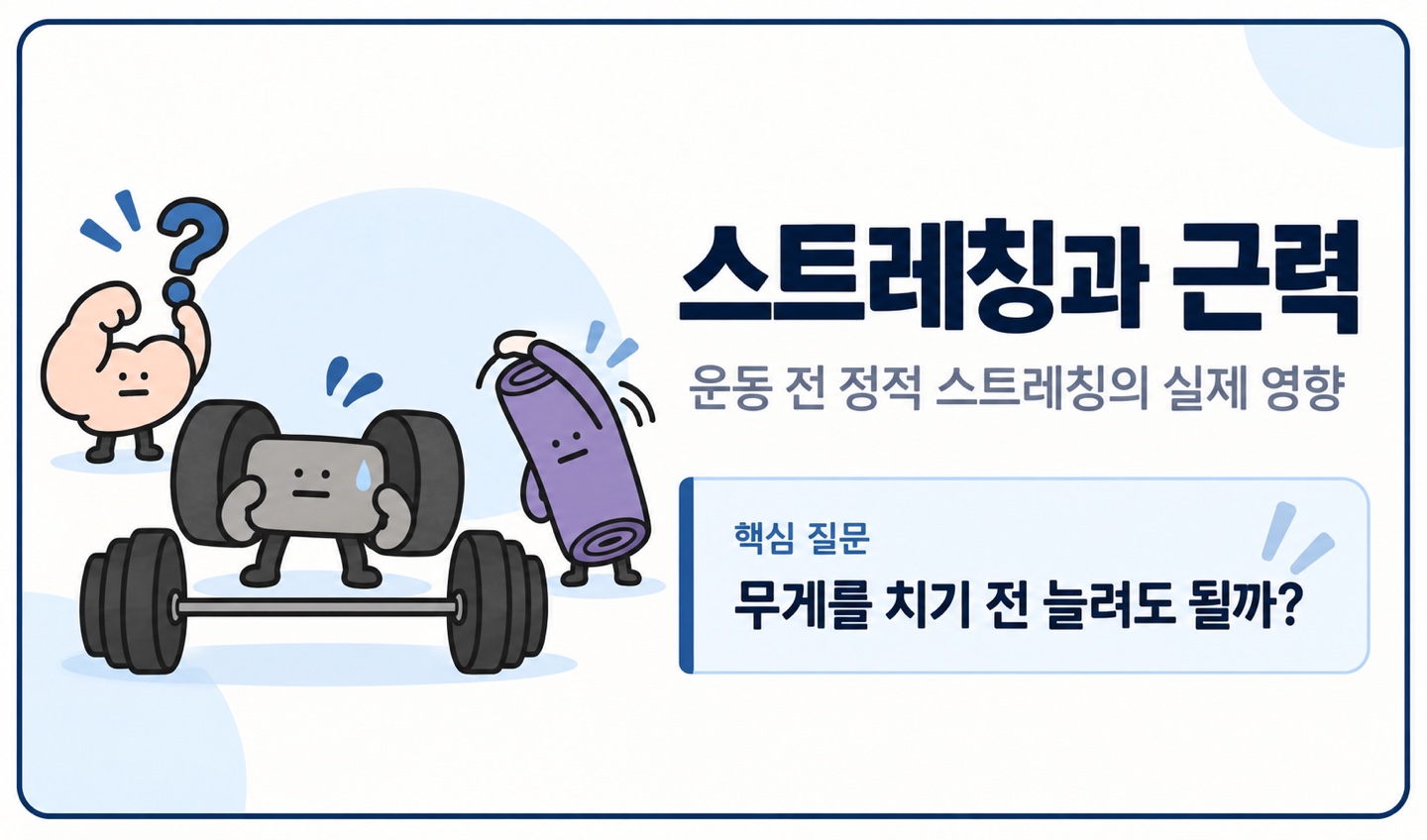 스트레칭과 근력 운동 전 정적 스트레칭의 실제 영향 무게를 치기 전 늘려도 될까?