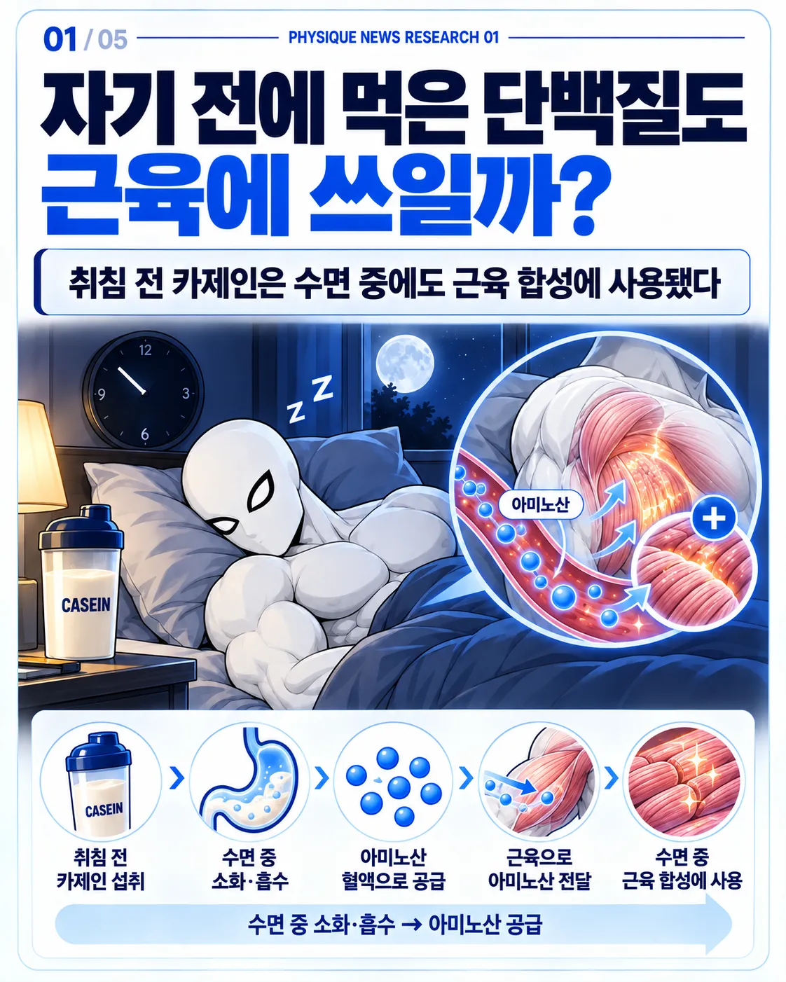자기 전에 먹은 단백질도 근육에 쓰일까? 취침 전 카제인은 수면 중에도 소화·흡수되어 근육 합성에 사용됐다