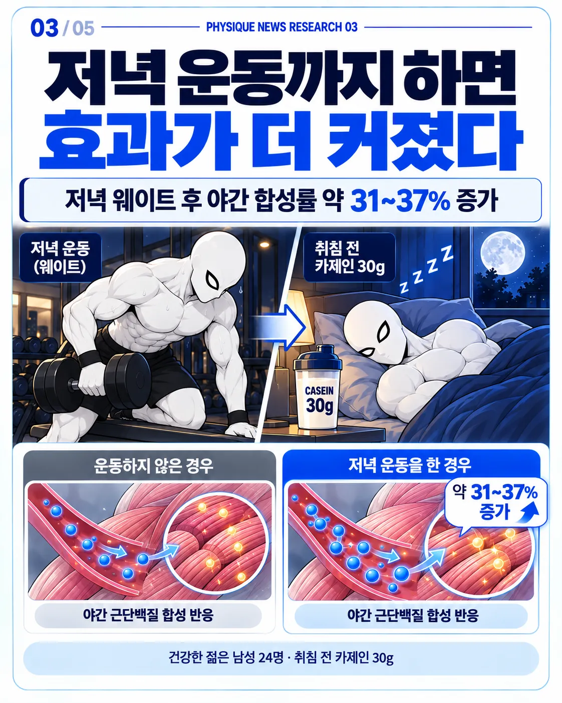 저녁 운동까지 하면 효과가 더 커졌다 저녁 웨이트 후 야간 근단백질 합성률이 약 31~37% 더 높았다