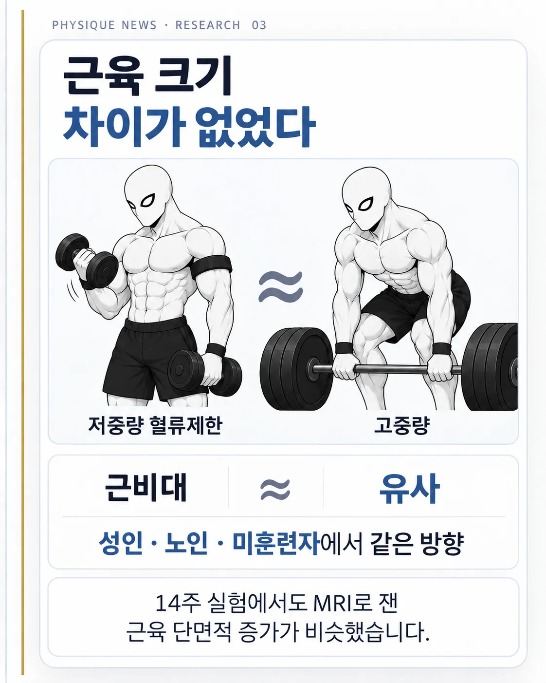 근육 크기 차이가 없었다