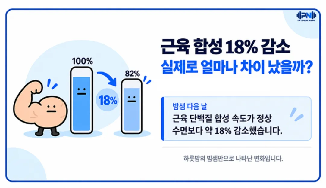근육 합성 18% 감소 실제로 얼마나 차이 났을까? 식사 후 근육 생성 속도 비교 근육 단백질 합성 속도가 정상 수면보다 약 18% 감소했습니다.