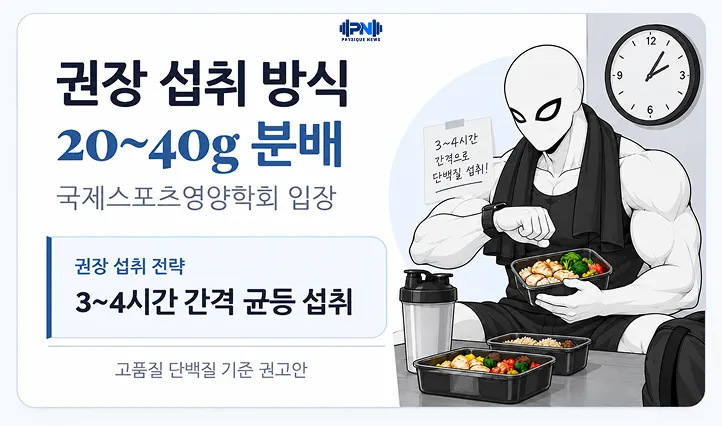 권장 섭취 방식 20~40g 분배 국제스포츠영양학회 입장 3~4시간 간격 균등 섭취