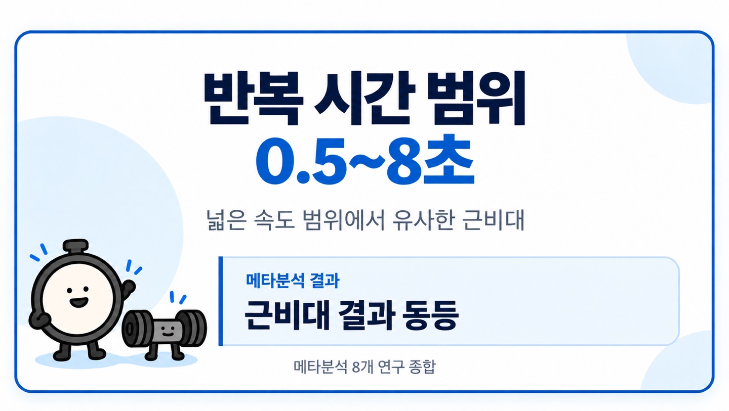 반복 시간 범위 0.5~8초 넓은 속도 범위에서 유사한 근비대 근비대 결과 동등