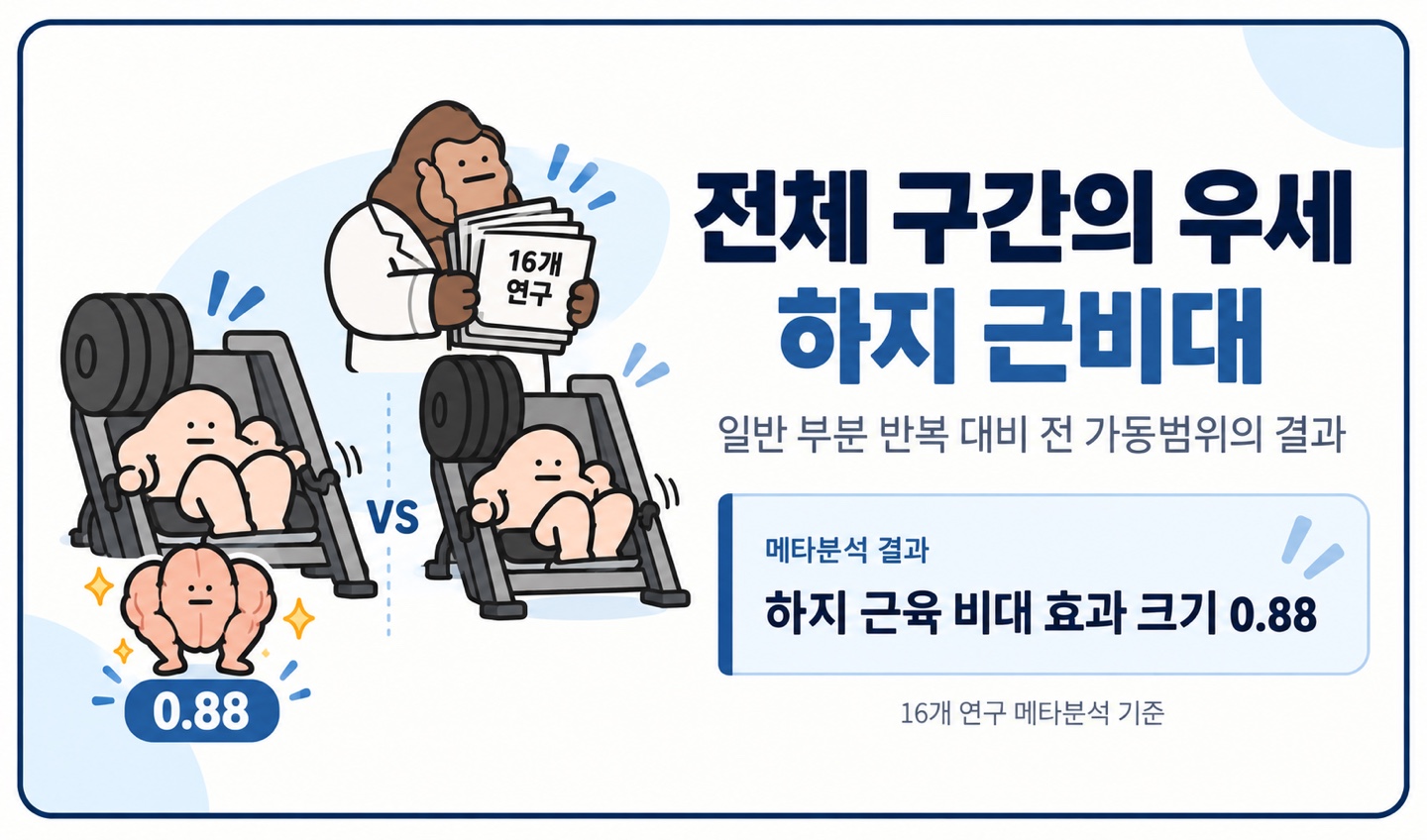 전체 구간의 우세 하지 근비대 일반 부분 반복 대비 전 가동범위의 결과 하지 근육 비대 효과 크기 0.88