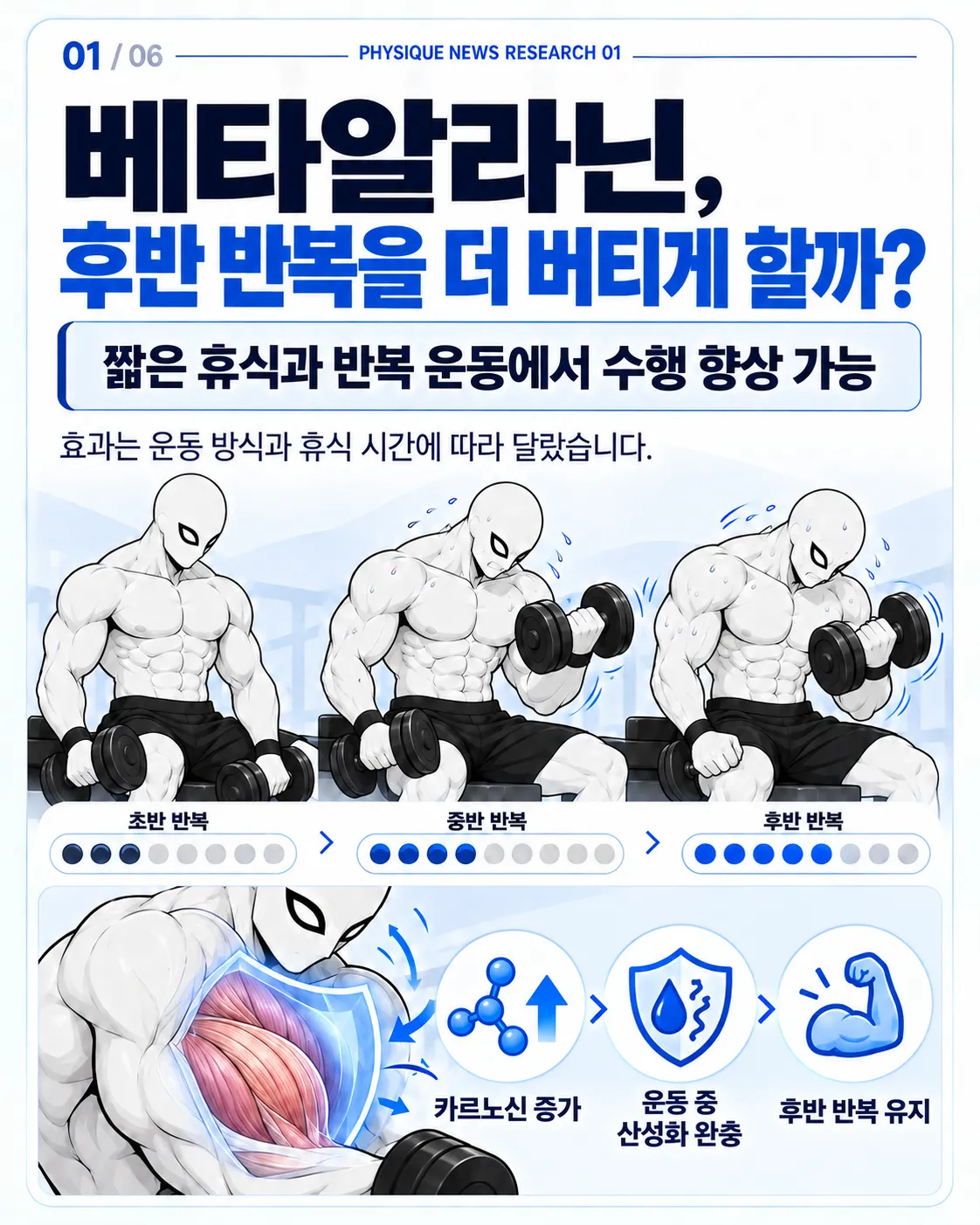 베타알라닌, 후반 반복을 더 버티게 할까? 짧은 휴식과 고반복 운동에서는 수행 향상이 나타날 수 있다