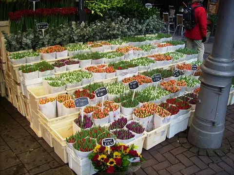 Bloemenmarkt (Singel)