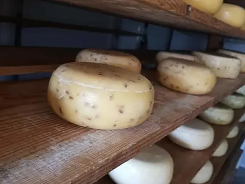 Kaasboerderij De Zeven Koeien
