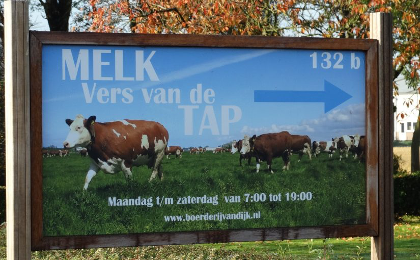 De Willemshoeve