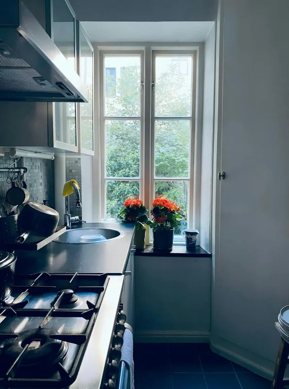 Repslagaregatan 9 - bild 3