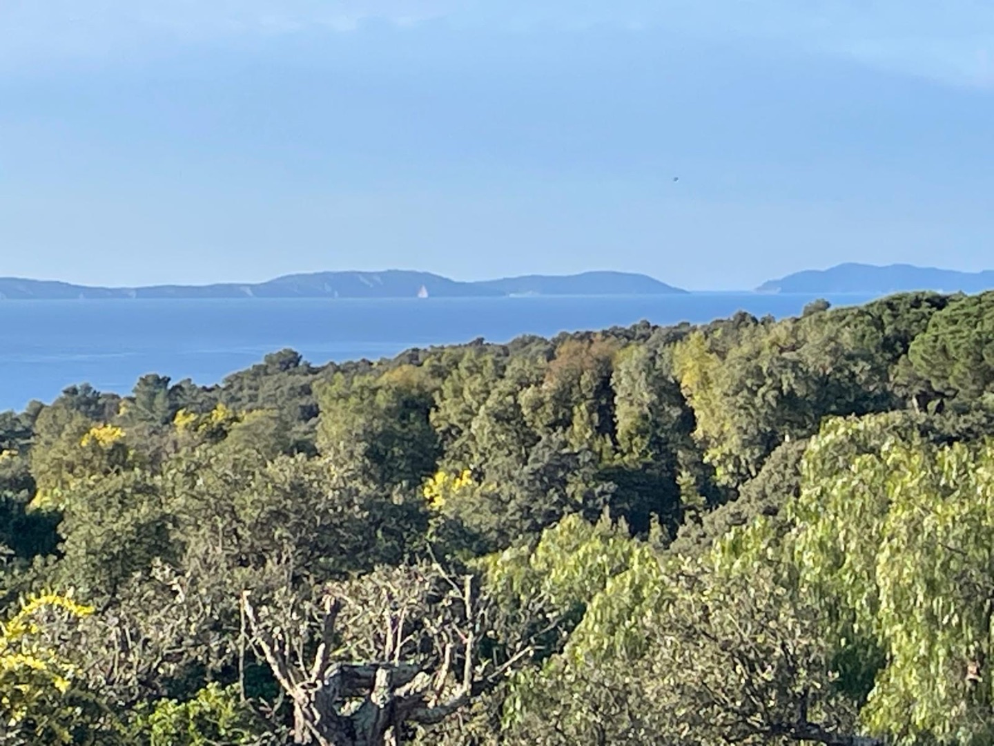  location - Eulalie - Eulalie