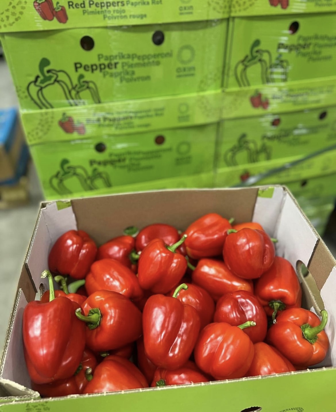 Paprika röd 5kg