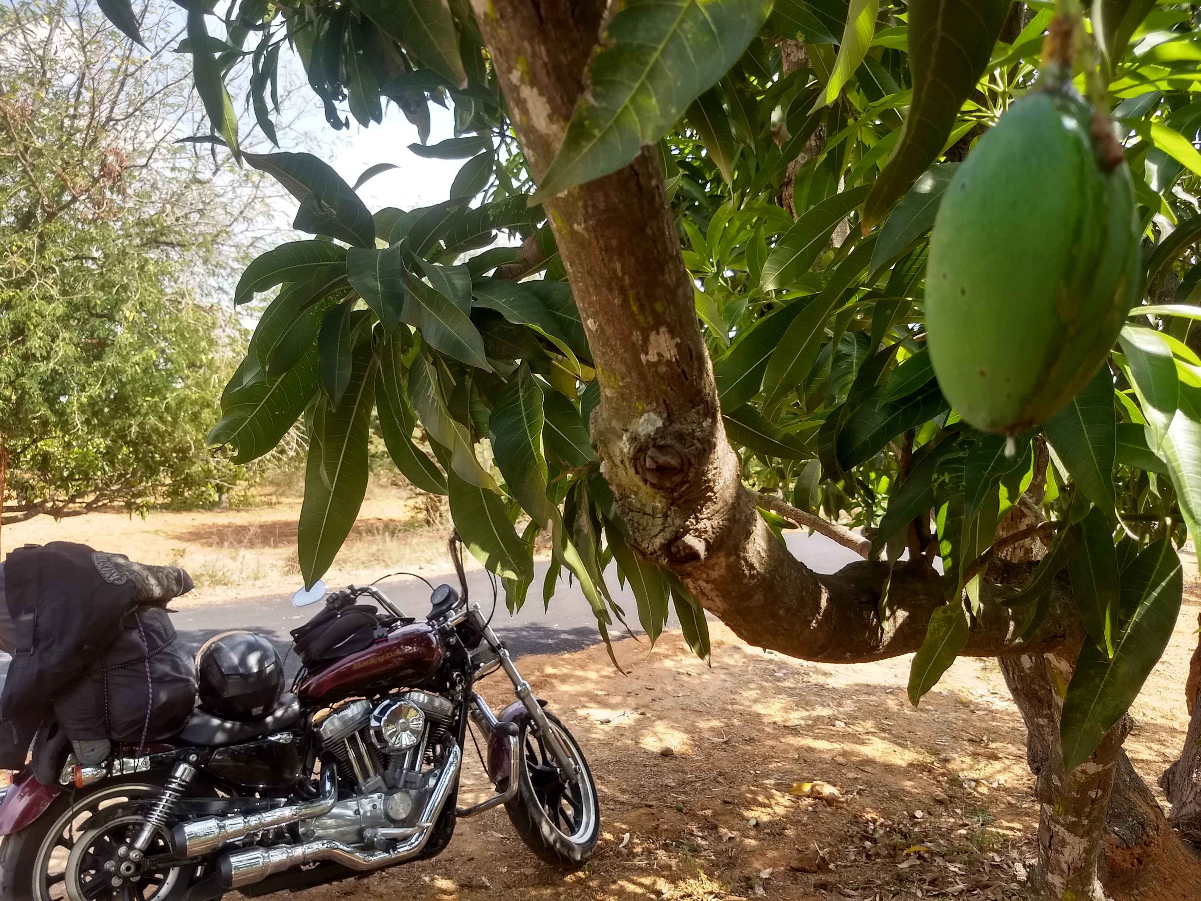 Ride Image by Vikram Bhaskaran
